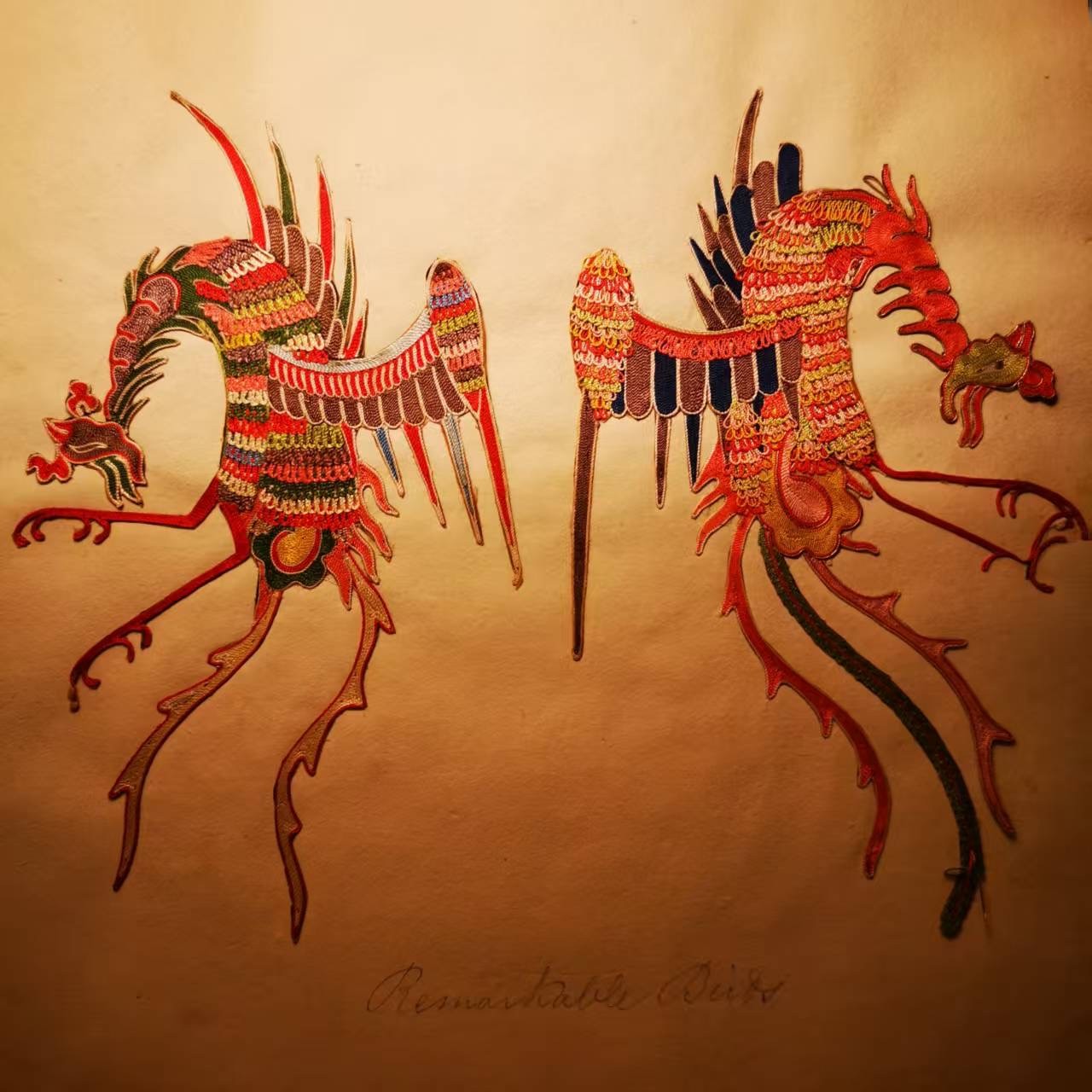 A pair of phoenix-like birds with multicoloured looped plumage; a pencilled caption below reads “Remarkable Birds”.