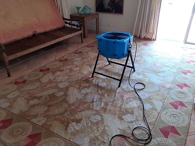 rug drying.jpeg