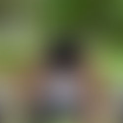 How freelance helped my life