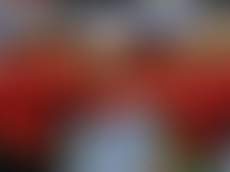 Portugal 18 - 30 Hungria: fim do sonho português rumo à Europa