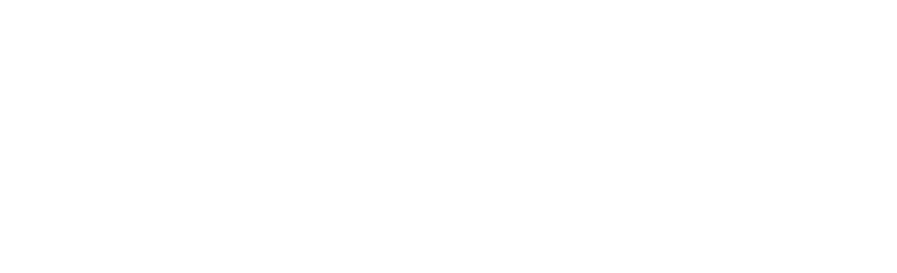 LOGO ESCRITA SITE PNG.png