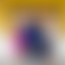 Crias do Pescador tem 100% de aprovação escolar