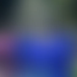 Base do Barra FC na Copa Sul 2025