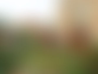 Tanzshow "Zauber im Bürgergarten" 2025