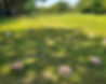 234f00fc-f426-4cb8-94cc-2ee806d426c1_edited.jpg