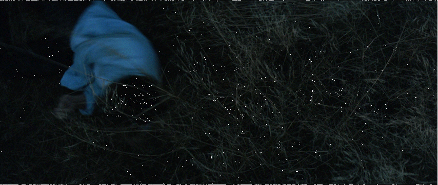 0a234a61-41ae-4ea4-9e33-ac8b6e52d94b_fs.gif