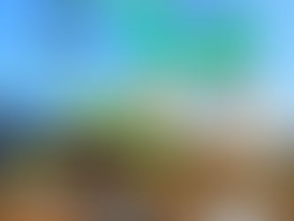 12月です!!