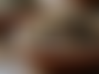 a bowl of ancient chinese herps