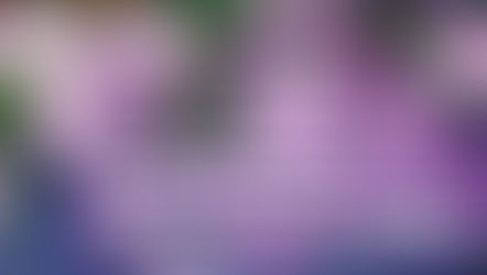 Week Three - Embracing the Good: Five Weeks to Deep Gratefulness