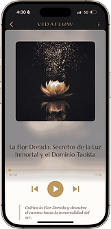 Copia de vida flow web (4).png