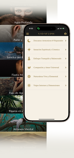 Copia de vida flow web (10).png