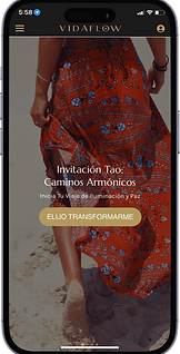 Copia de vida flow web (1).png