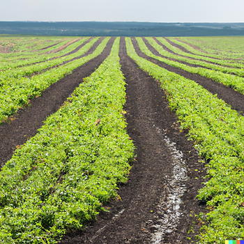 GrownFresh-n-Natural: Championing Diversity and Sustainability in Agriculture