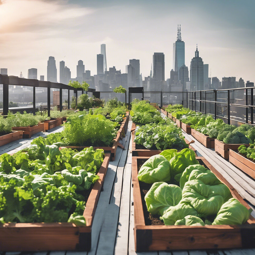 Alfonso Galarpe Explores the Rise of Urban Agriculture