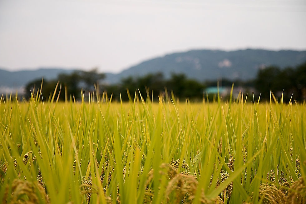 Agriculture and horticulture