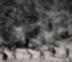 DSC00760_edited