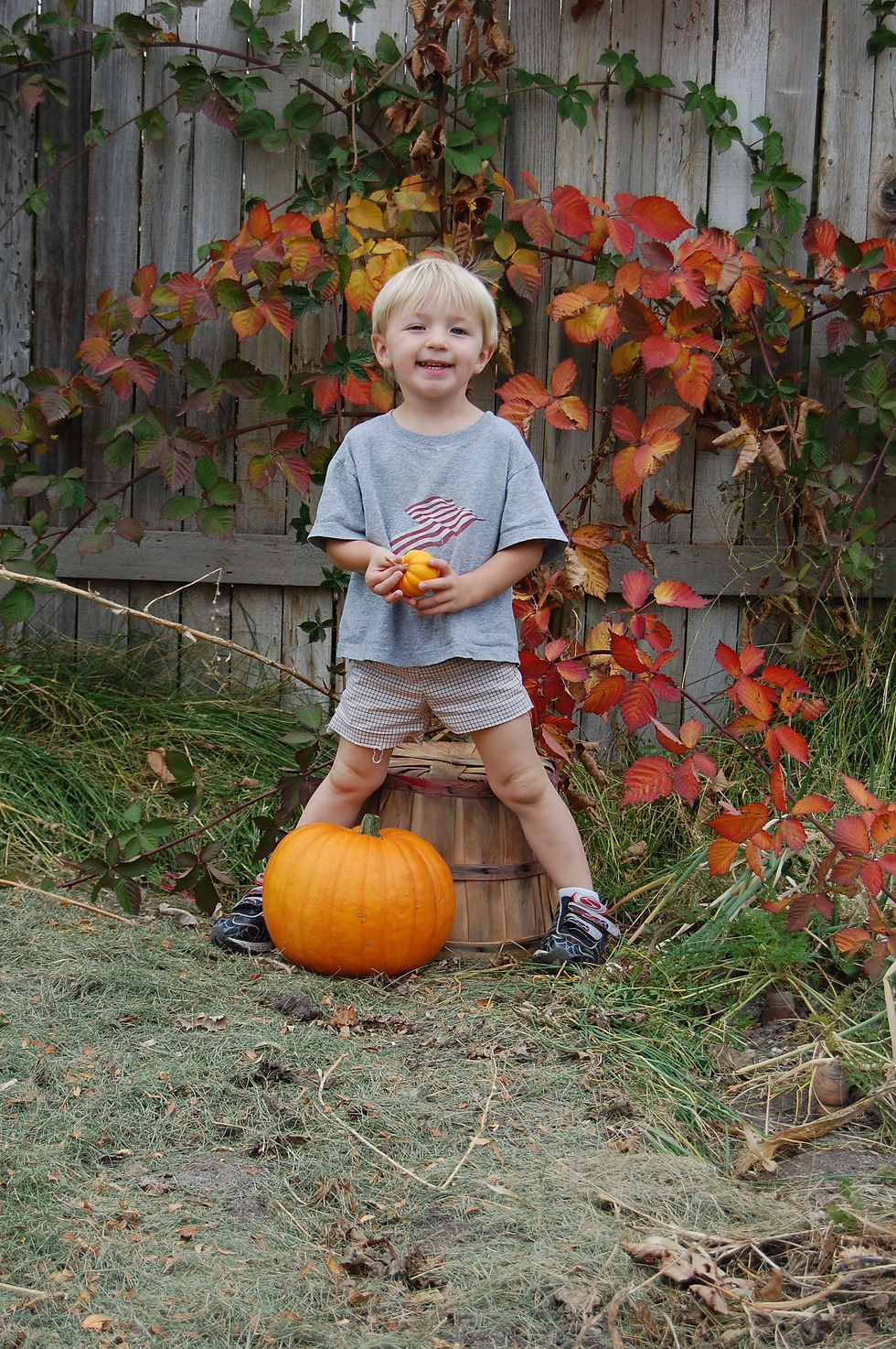 Fall 2008 018