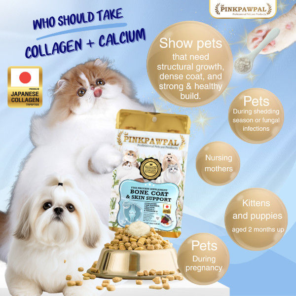 Thumbnail: Pinkpawpal Bone, Coat & Skin Support Sample 10g sample pouch