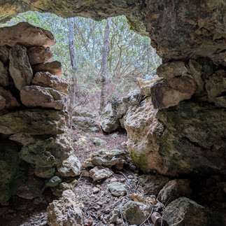 View looking out from cave