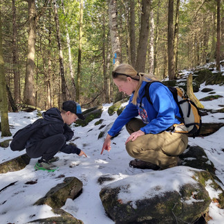 Learning - Guided Hike