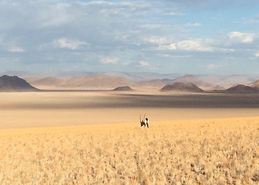 Sossusvlei