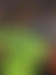 Christopher Andrade portero, TEAM-VP Sport Management, Agencia de futbolistas