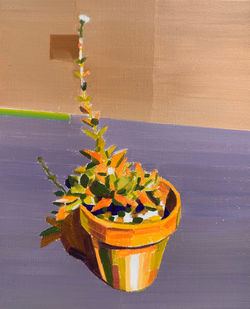 Flower Pot