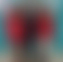 Platz 5 für Asimina in Rumänien