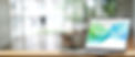 GIS Screen Mockup.jpg