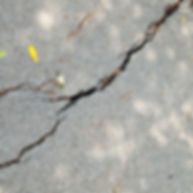 Cracked & Uneven Sidewalks