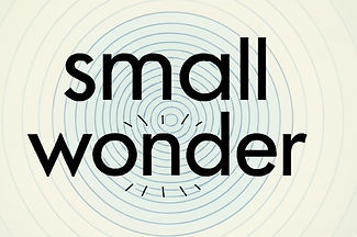 SmallWonder_edited_edited.jpg