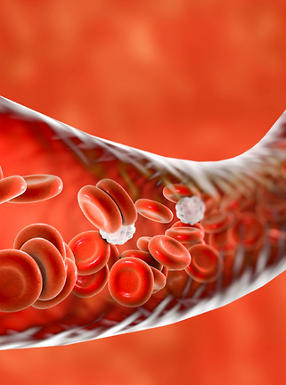 blood vessel.png