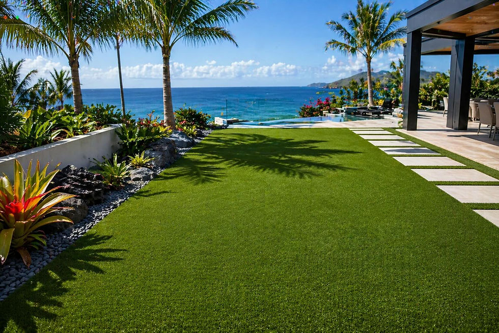 Turf Website Image .jpg