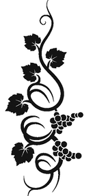 Branche de vigne