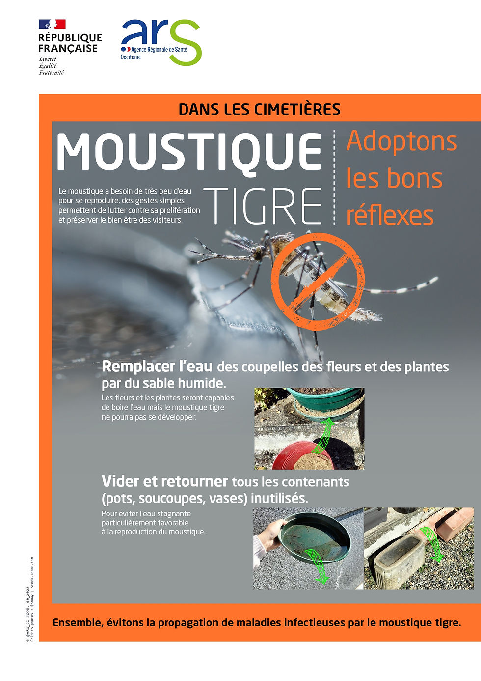 Moustique tigre : surveillance renforcée du 1er mai au 30 novembre