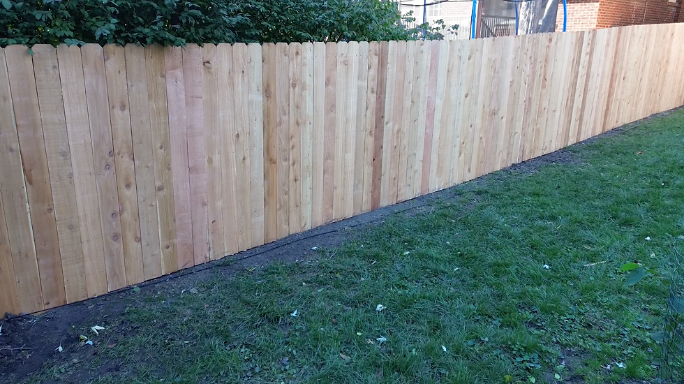 cedar privacy and dog fence in backyard
