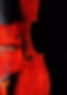 13719709_1119695478090533_13995985745952