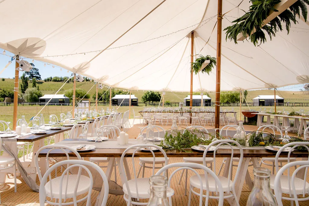 Tent.webp