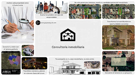 Infografía con servicios de Consultoría inmobiliaria - Evaluación y comercialización de terrenos.