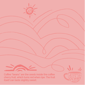 pink napkin