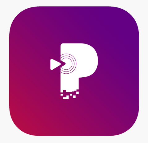 Painimation Logo