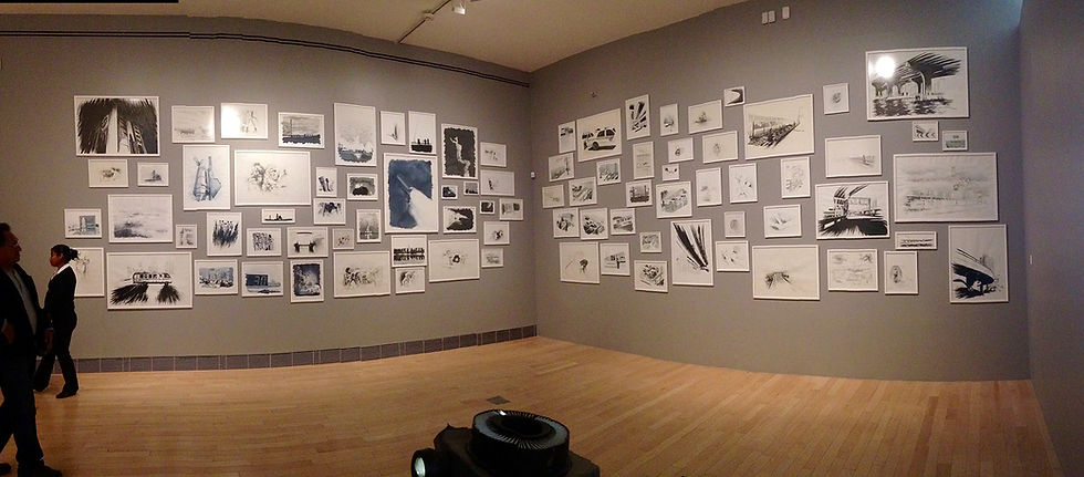Museo Amparo