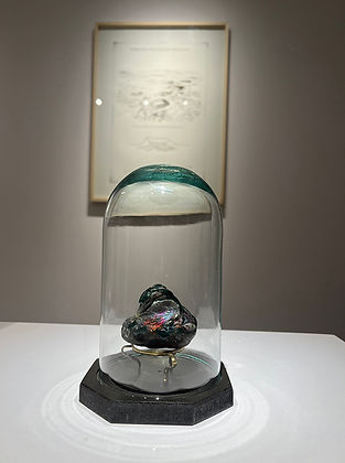 Especimen4Sala1W.jpg