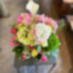 お祝い / 参考価格¥3,300