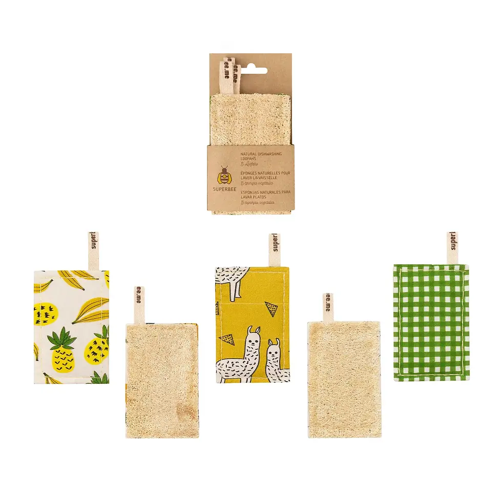 Thumbnail: Loofah Kitchen 2 Pack Ctn x24