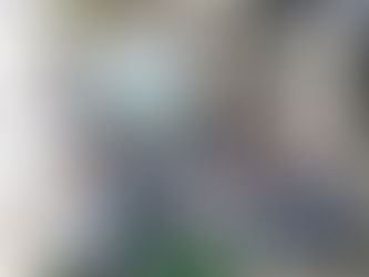 Projeto Água Viva:o futuro será o que começamos a fazer dele no presente