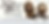 Facebook Cover - Now excepting new walking clients! (1640 x 800 px) (1).png