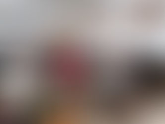 Projeto "Avós e Netos": os avós e os netos, juntos, na aula de HGP