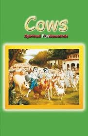 Cows Spiritual Fundamentals