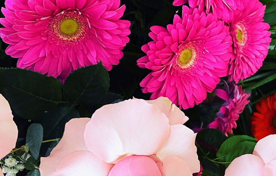 Fiori rosa